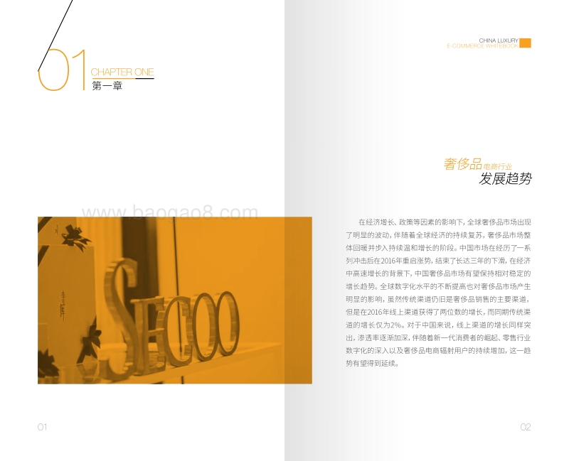 中国奢侈品网络消费白皮书.pdf_第3页