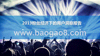 2019粉丝经济下的用户洞察报告.pptx