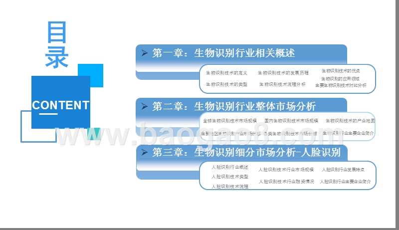 2019年生物识别行业发展分析报告.pptx_第2页