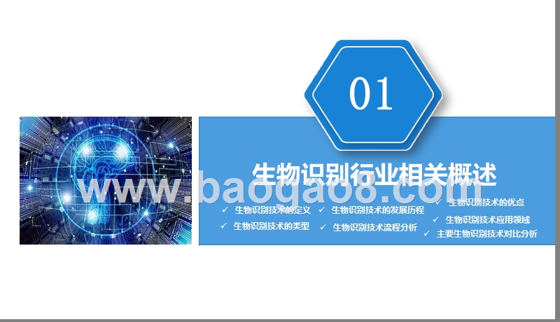 2019年生物识别行业发展分析报告.pptx_第5页