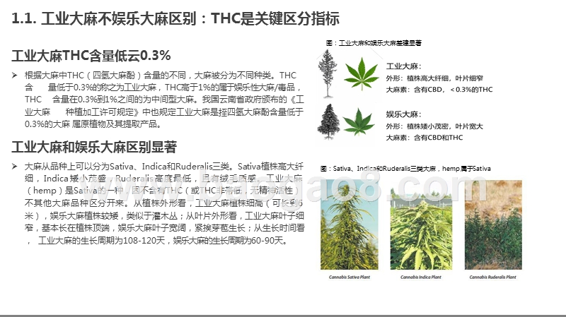 2019工业大麻市场发展前景研究报告.pptx_第5页