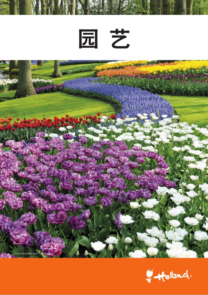 荷兰领先行业：园艺.pdf_第1页