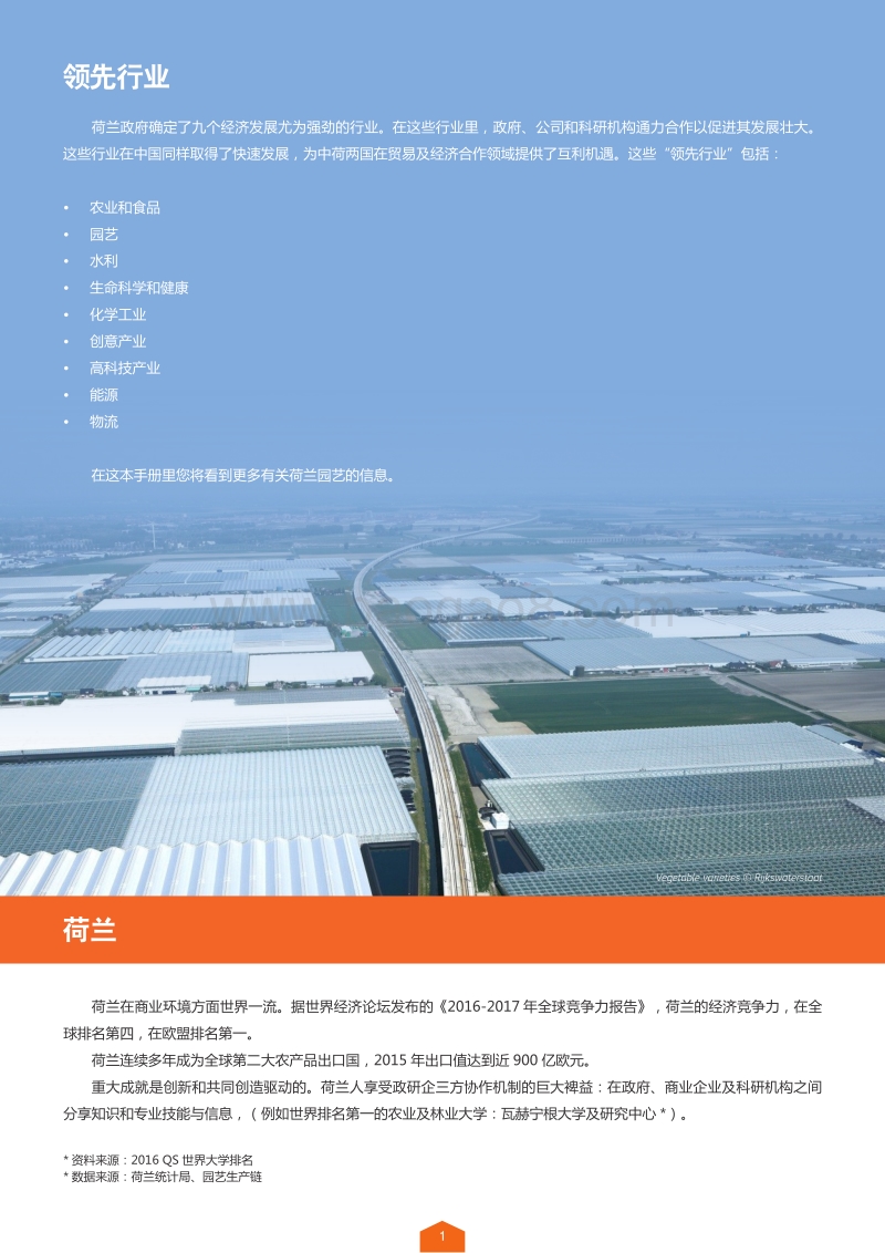 荷兰领先行业：园艺.pdf_第2页