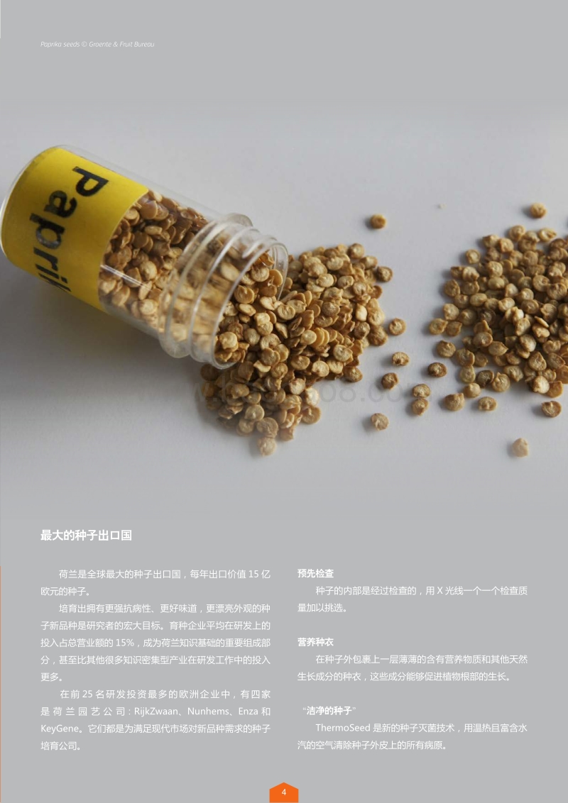 荷兰领先行业：园艺.pdf_第5页