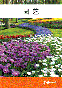荷兰领先行业：园艺.pdf