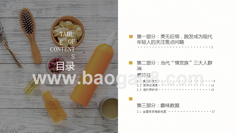 2019“防脱一族”消费趋势研究报告.pptx_第2页