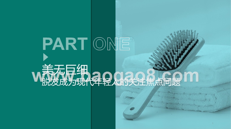 2019“防脱一族”消费趋势研究报告.pptx_第3页