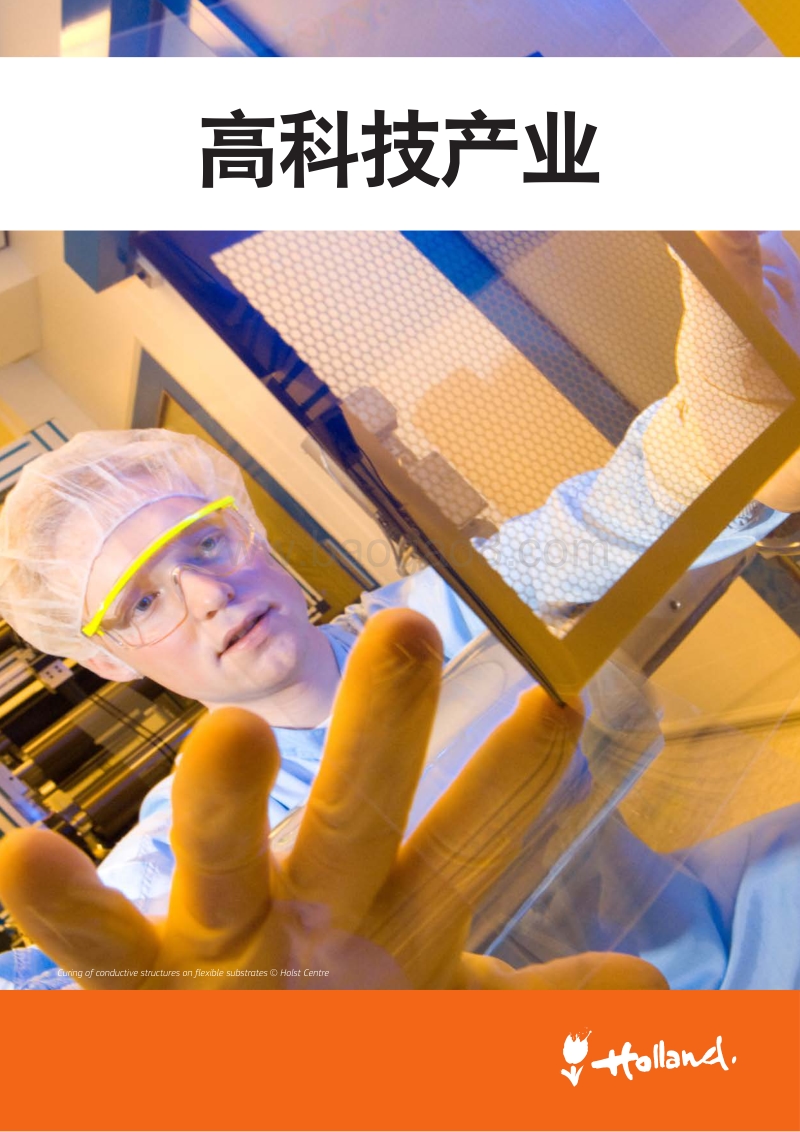 荷兰领先行业：高科技产业.pdf_第1页