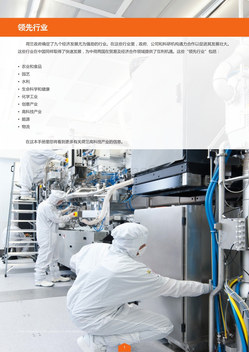 荷兰领先行业：高科技产业.pdf_第2页
