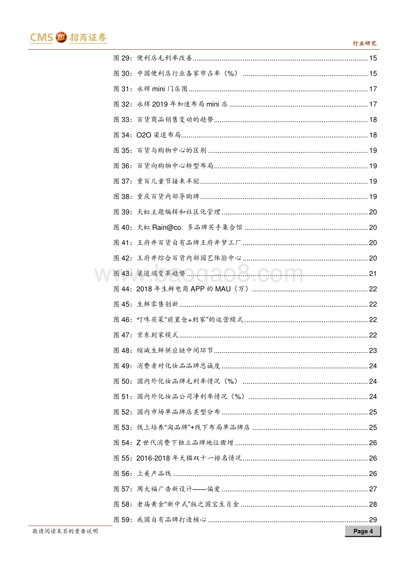 零售行业2019年中期投资策略：合二为一、独运匠心.pdf_第4页