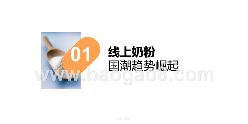 2019线上国产奶粉行业市场前景研究报告.pptx_第3页