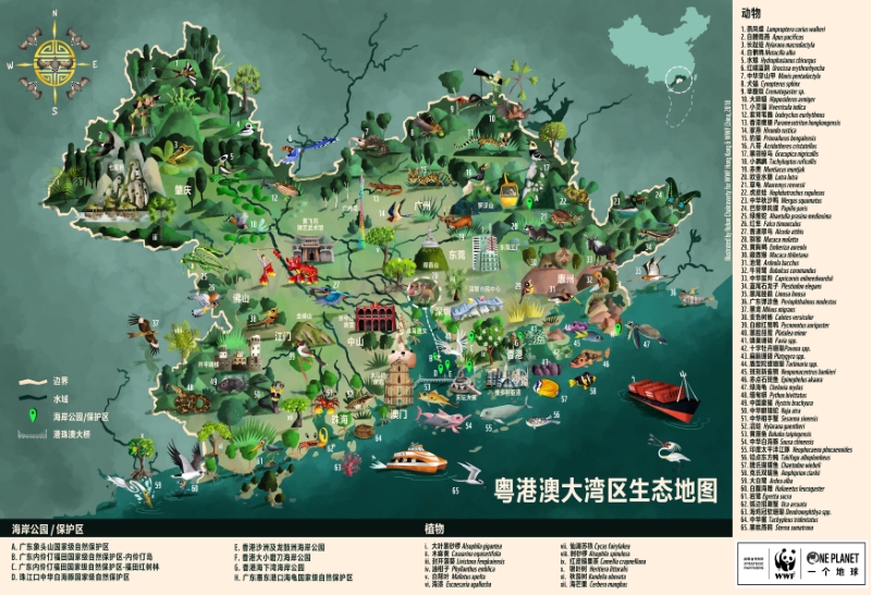 粤港澳大湾区生态地图.pdf_第2页