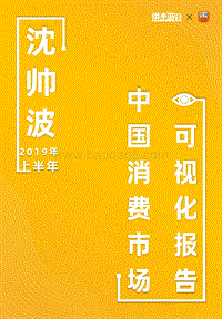 2019年上半年中国消费市场洞察.pdf