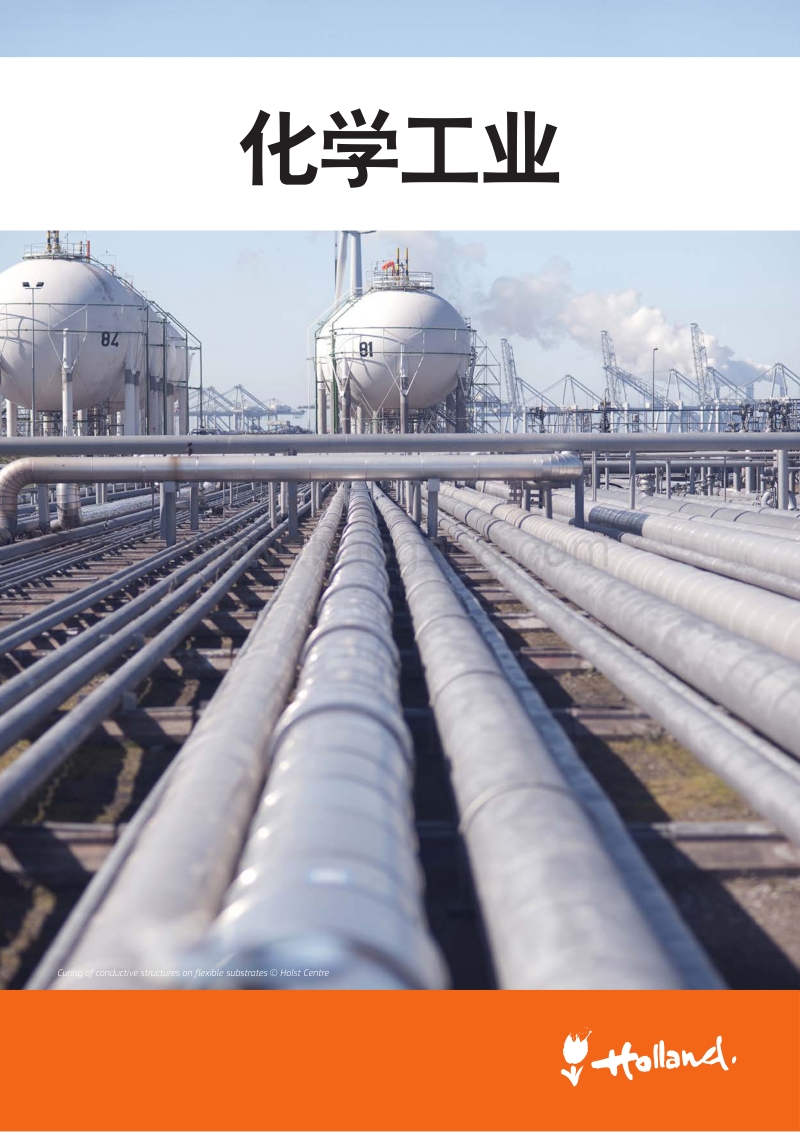 荷兰领先行业：化学工业.pdf_第1页