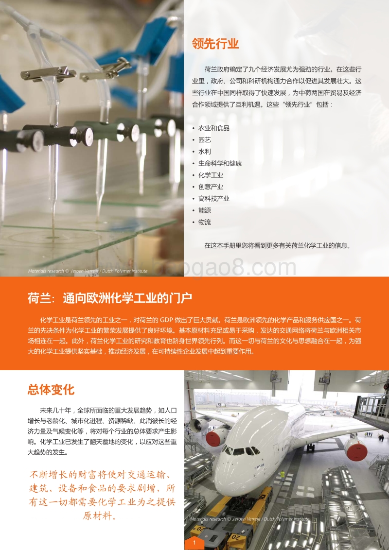 荷兰领先行业：化学工业.pdf_第2页