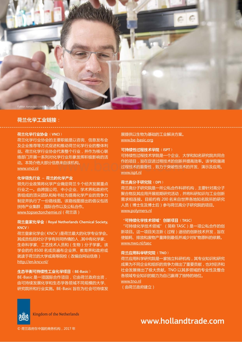 荷兰领先行业：化学工业.pdf_第5页