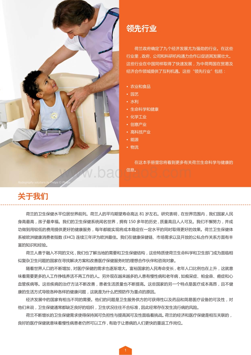荷兰领先行业：生命科学与健康.pdf_第2页