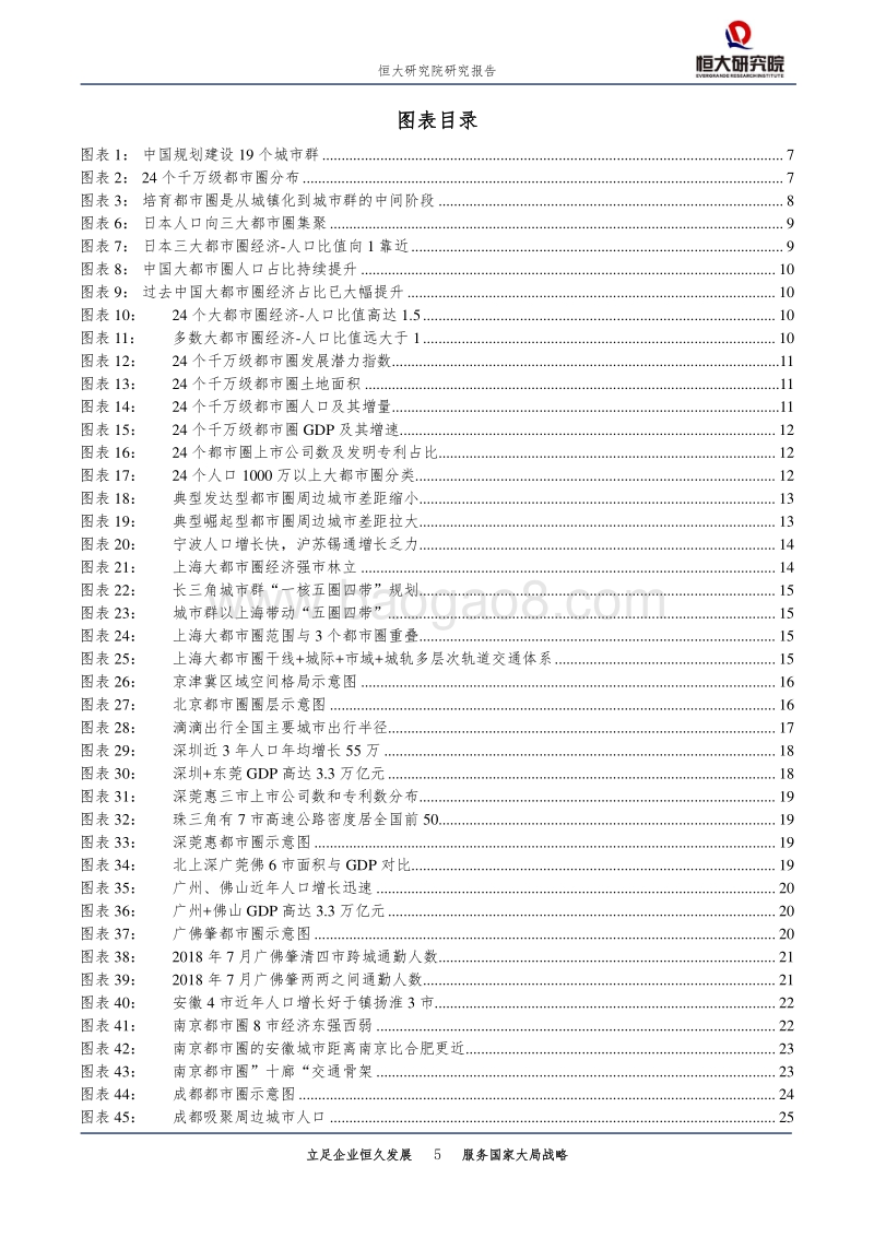 中国十大最具潜力都市圈：2019.pdf_第5页