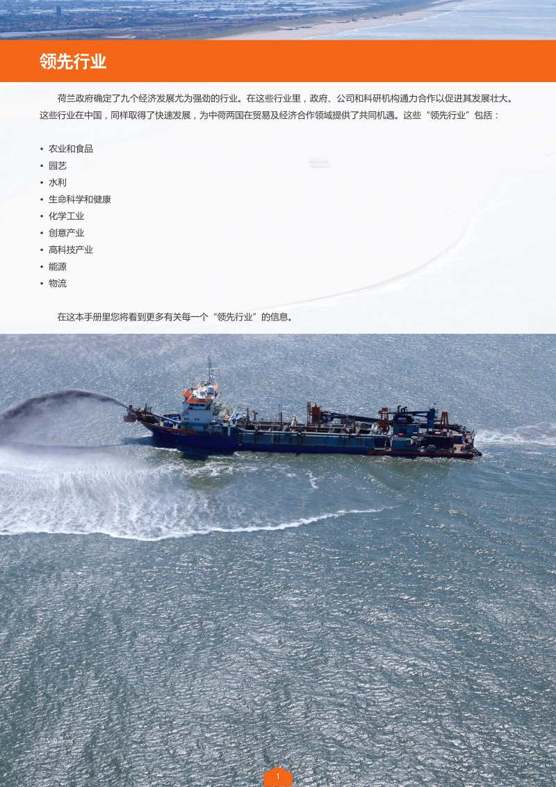 荷兰领先行业.pdf_第2页