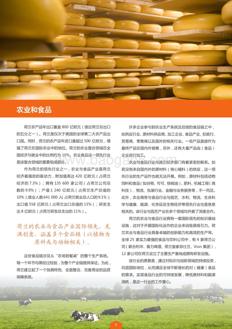 荷兰领先行业.pdf_第3页
