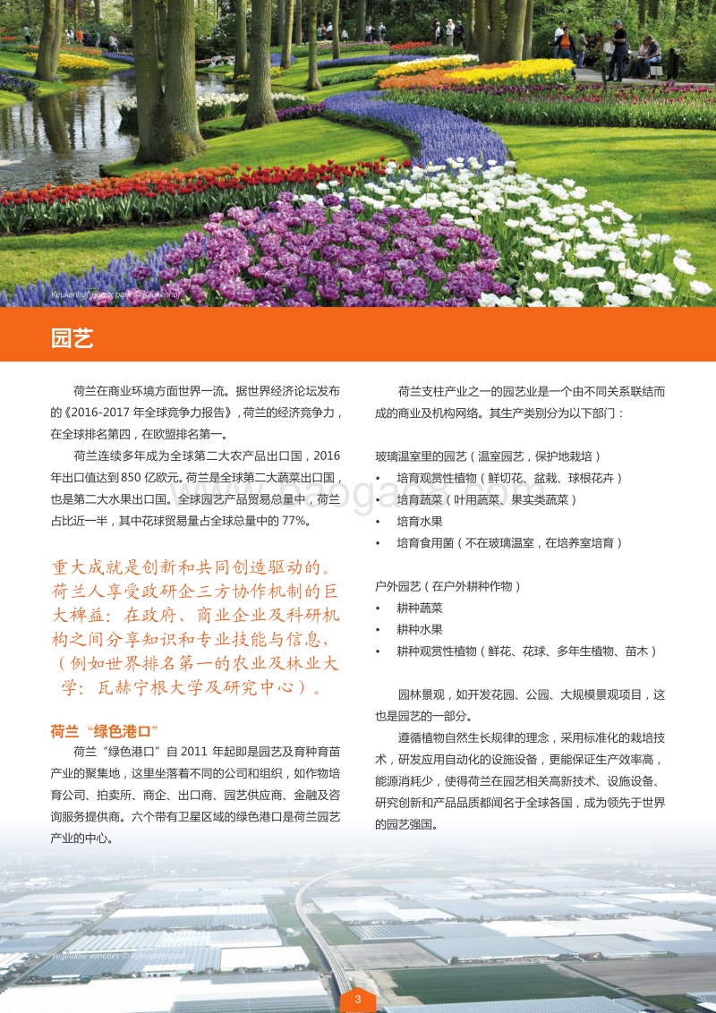荷兰领先行业.pdf_第4页