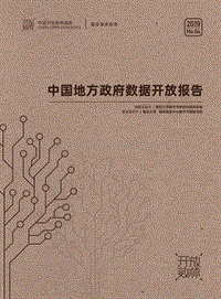 2019上半年中国地方政府数据开放报告.pdf