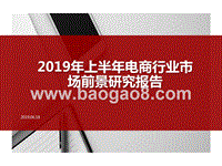 2019年上半年电商行业市场前景研究报告.pptx