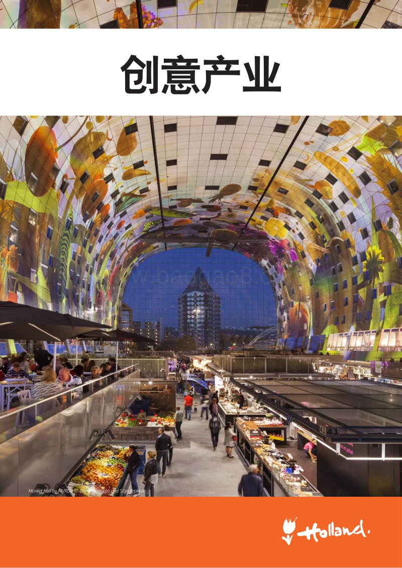 荷兰领先行业：创意产业.pdf_第1页