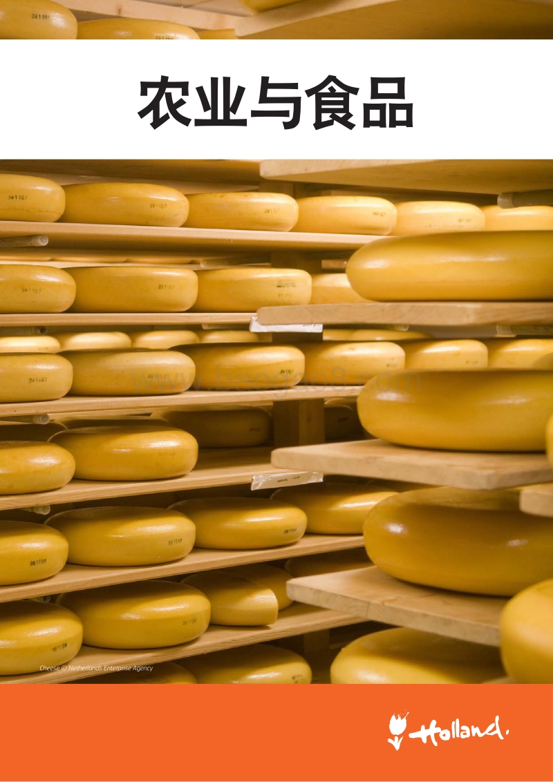 荷兰领先行业：农业与食品.pdf_第1页