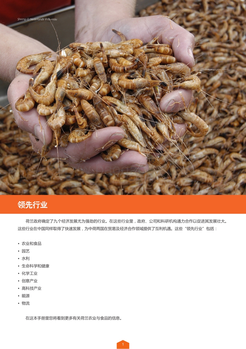 荷兰领先行业：农业与食品.pdf_第2页