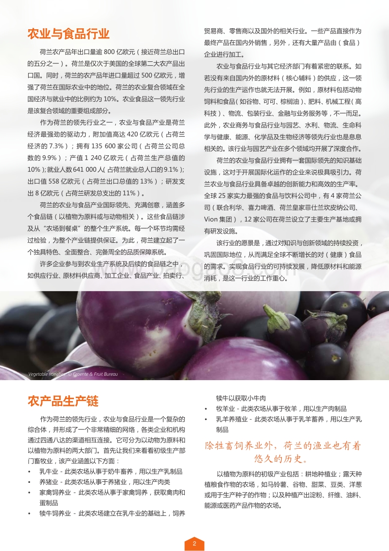 荷兰领先行业：农业与食品.pdf_第3页