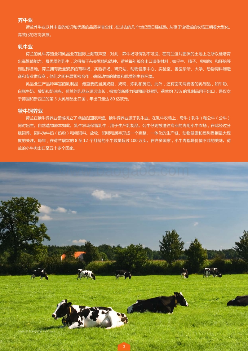 荷兰领先行业：农业与食品.pdf_第4页