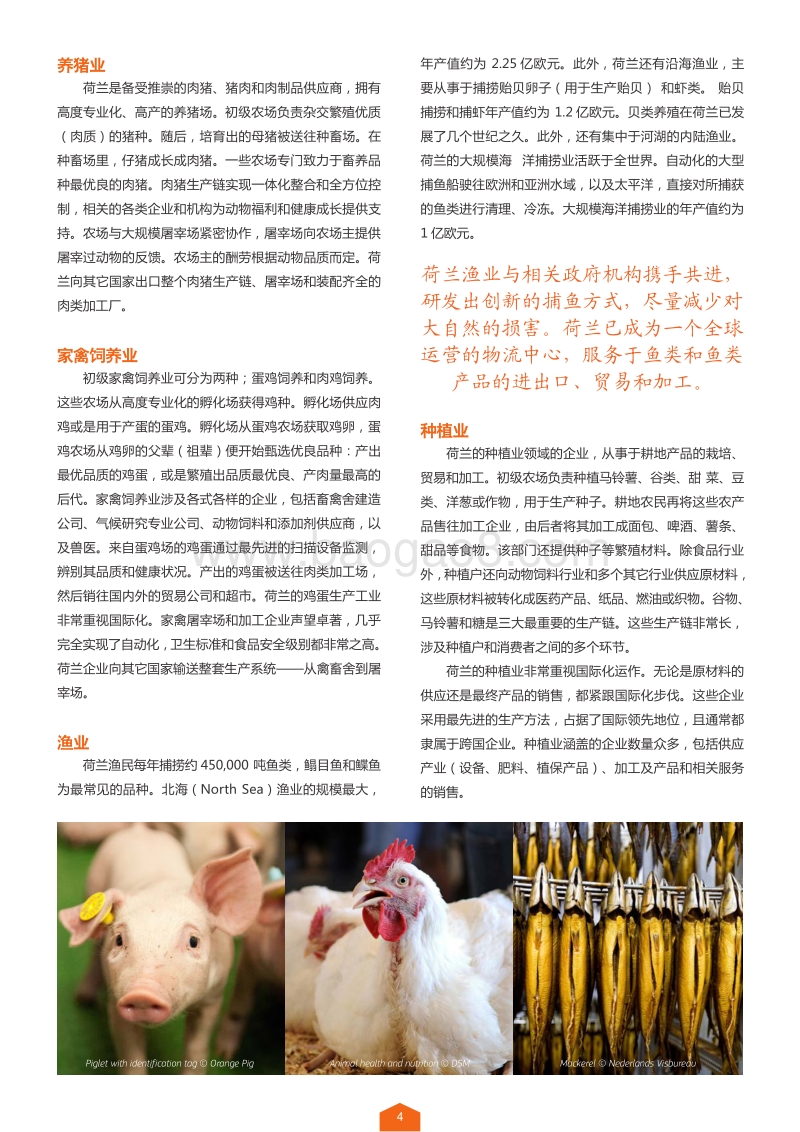 荷兰领先行业：农业与食品.pdf_第5页