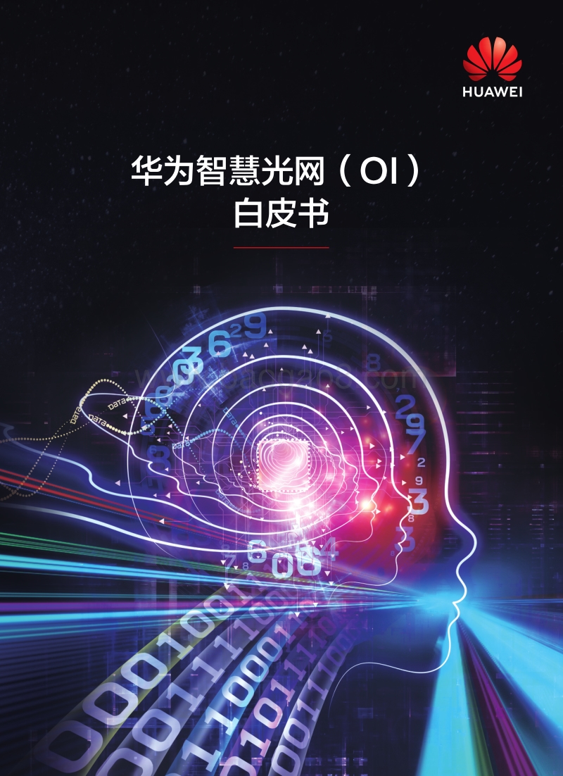 华为智慧光网（OI）白皮书.pdf_第1页