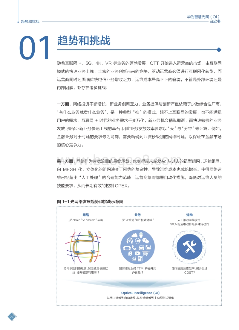 华为智慧光网（OI）白皮书.pdf_第3页