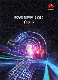 华为智慧光网（OI）白皮书.pdf