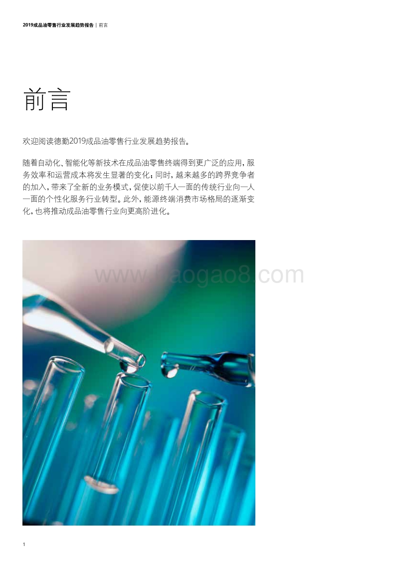 2019成品油零售行业发展趋势报告.pdf_第4页