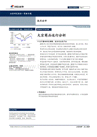 技术论市：大宗商品运行分析.pdf