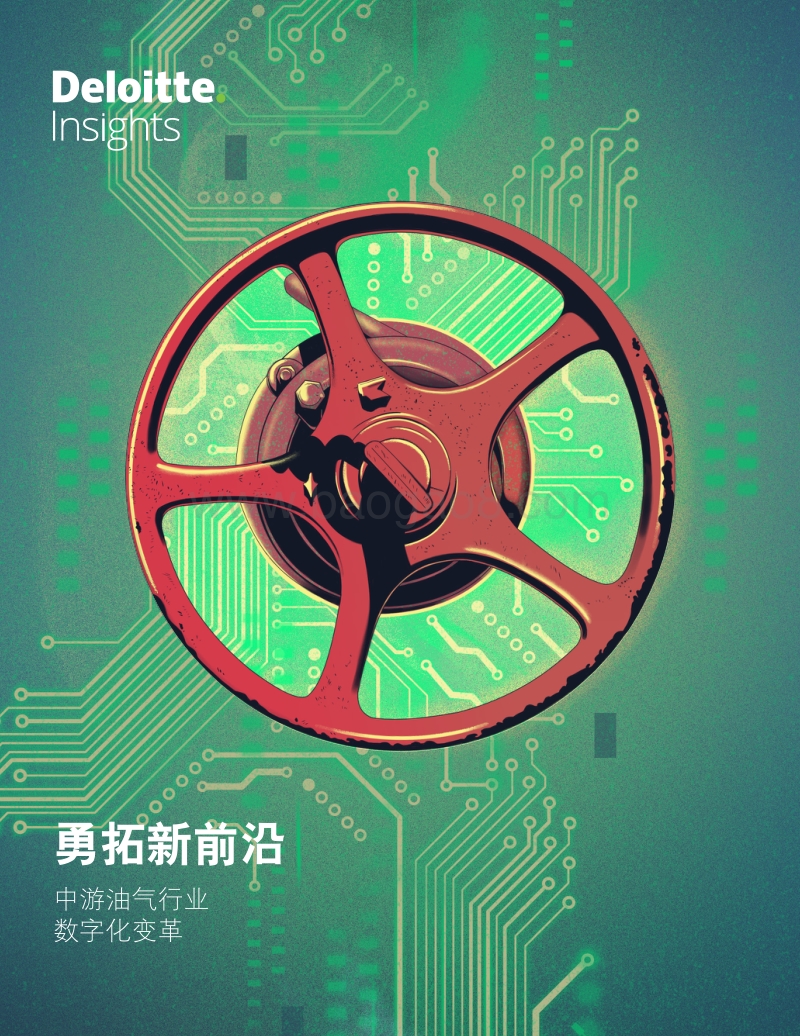 中游油气行业数字化变革：勇拓新前沿.pdf_第1页