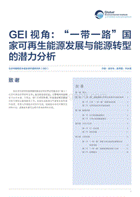 一带一路国家可再生能源发展与能源转型潜力分析.pdf