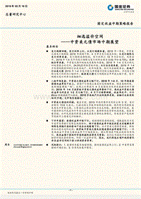 中资美元债市场中期展望：细选溢价空间.pdf