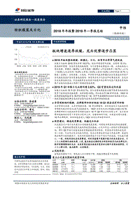 纺织服装及日化2018年年报暨2019年一季报总结.pdf