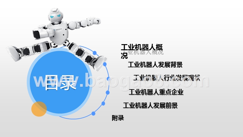 2019年中国工业机器人行业发展分析报告.pptx_第2页
