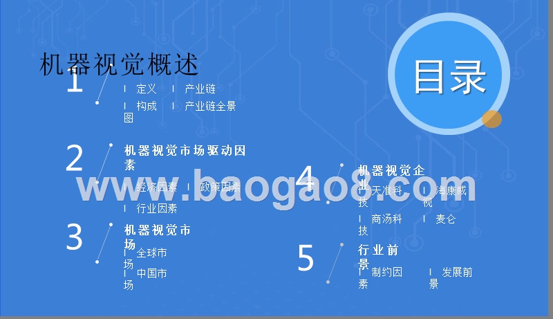 2019机器视觉市场发展分析报告.pptx_第2页