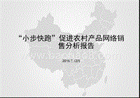 “小步快跑”促进农村产品网络销售分析报告.pptx