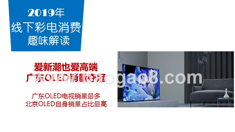 2019年线下彩电消费趣味解读报告.pptx_第3页