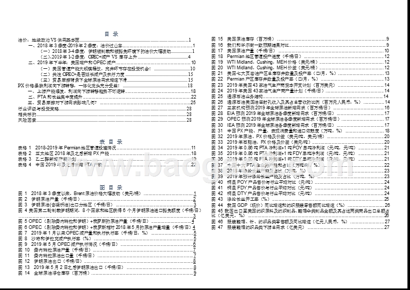 石油化工行业2019年投资前景研究报告.pptx_第2页