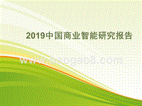 2019年中国商业智能研究报告.pptx