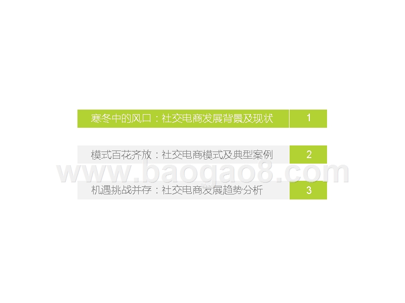 2019中国社交电商行业研究.pptx_第3页