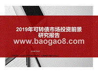 2019年可转债市场投资前景研究报告.pptx